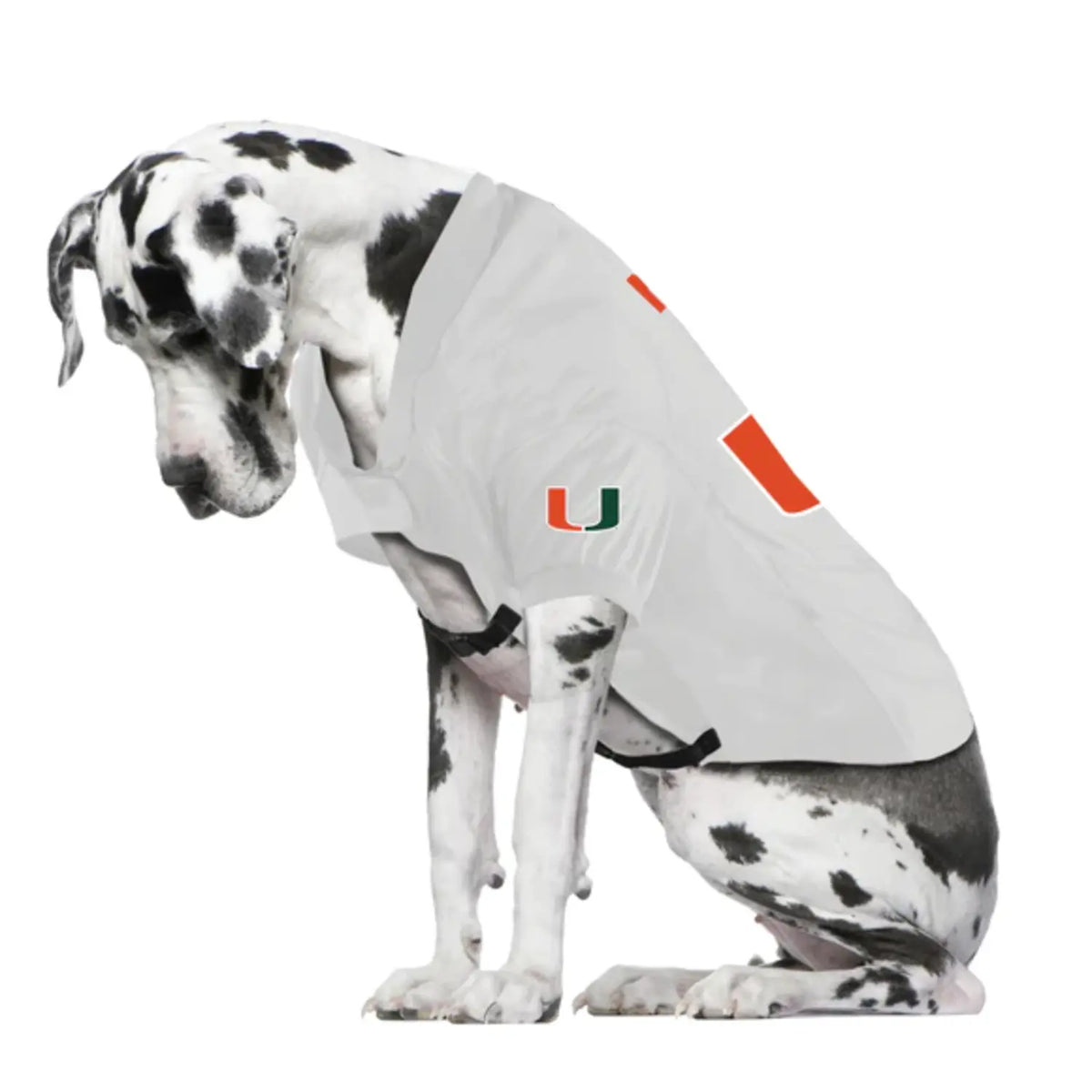 LITTLEARTH Miami Hurricanes White Pet Jersey