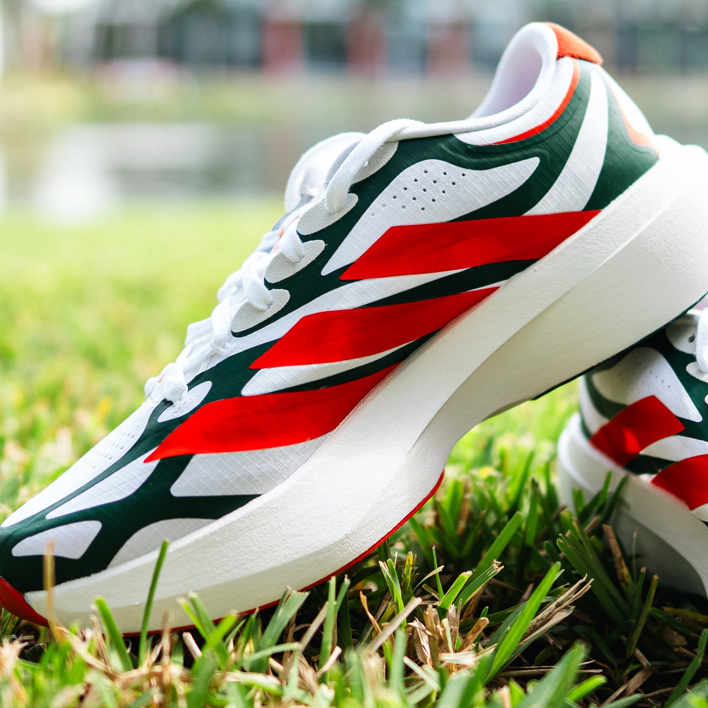 adidas Miami Hurricanes Adizero EVO SL EXO Shoes