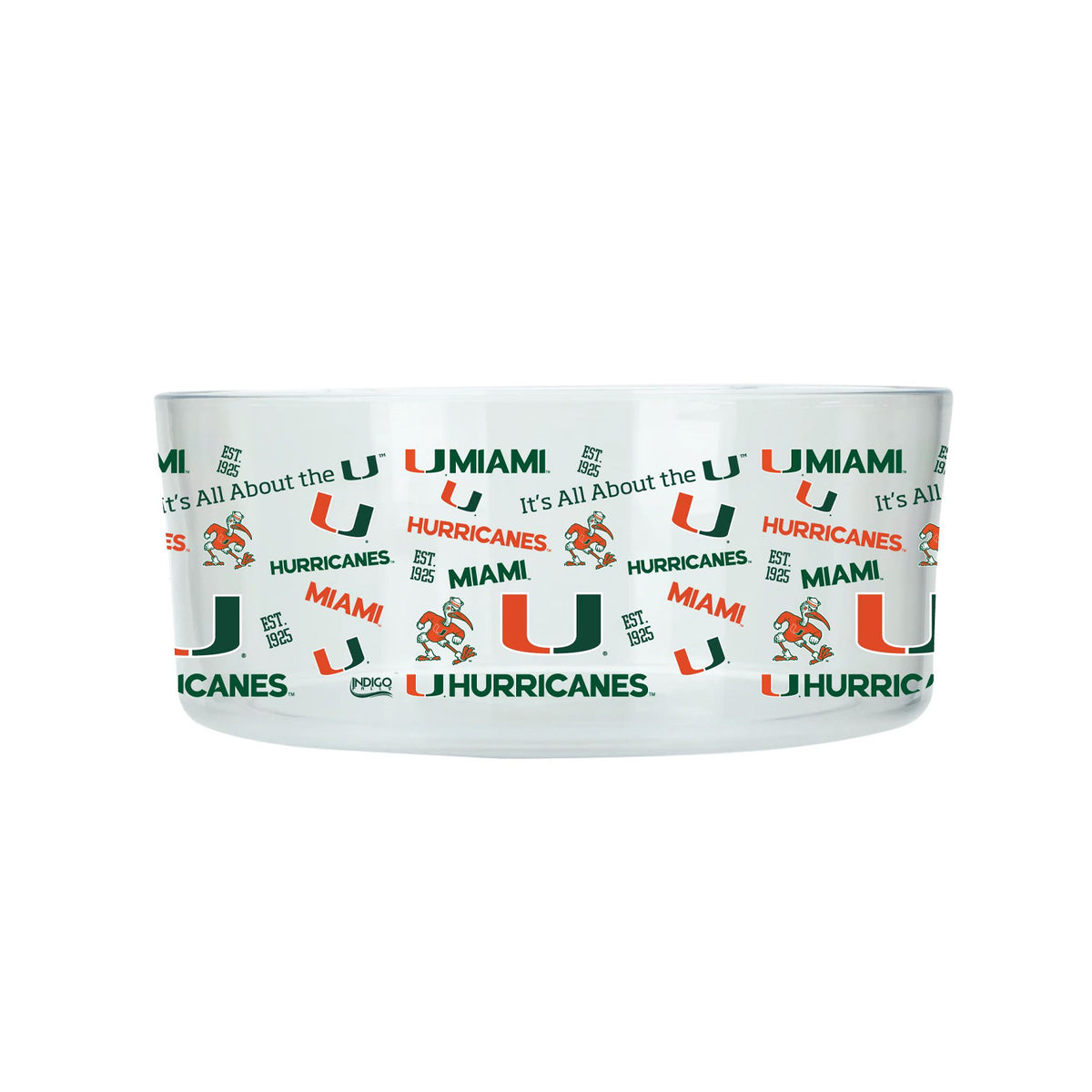 Indigo Falls Miami Hurricanes 20oz Clear Acrylic Miami Medley Dip Bowl