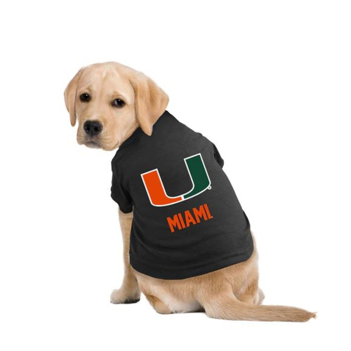 LITTLEARTH Miami Hurricanes Black Pet Shirt